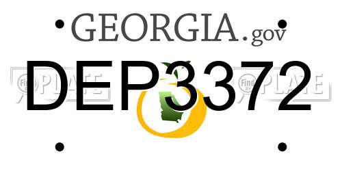 DEP3372 Georgia License Plate