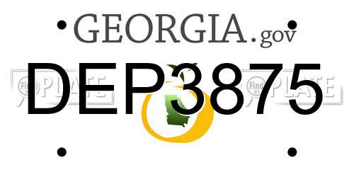 DEP3875 Georgia License Plate
