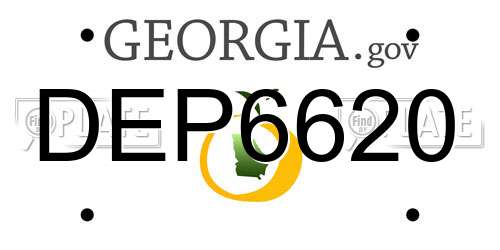DEP6620 Georgia License Plate
