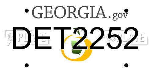DET2252 Georgia License Plate