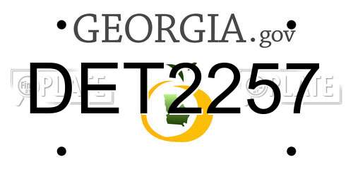 DET2257 Georgia License Plate