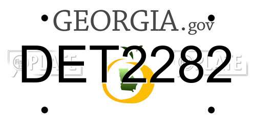 DET2282 Georgia License Plate