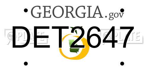 DET2647 Georgia License Plate
