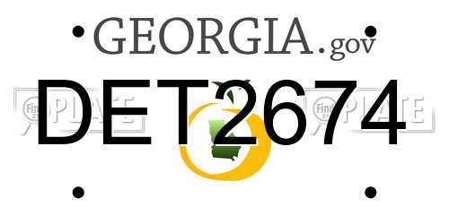 DET2674 Georgia License Plate