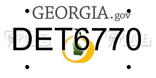 DET6770 Georgia License Plate
