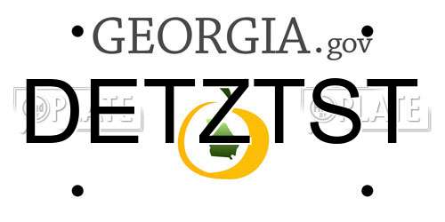 DETZTST Georgia License Plate
