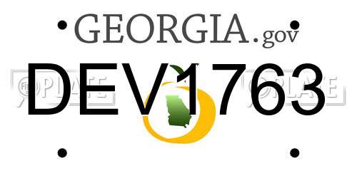 DEV1763 Georgia License Plate