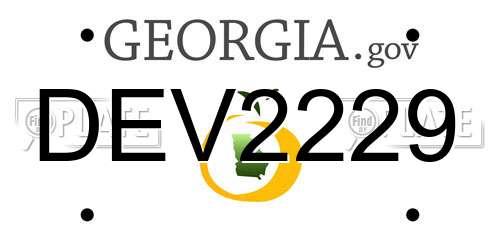 DEV2229 Georgia License Plate