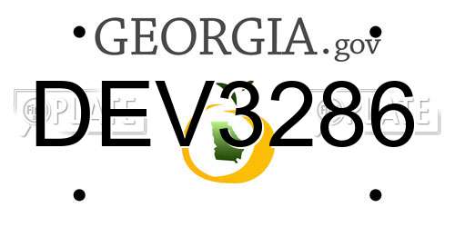 DEV3286 Georgia License Plate