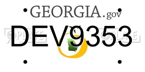 DEV9353 Georgia License Plate