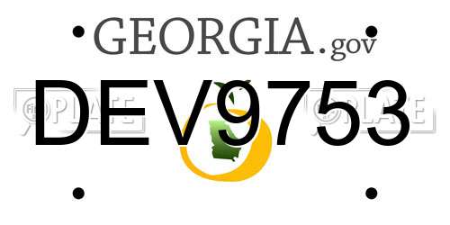 DEV9753 Georgia License Plate