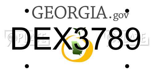DEX3789 Georgia License Plate