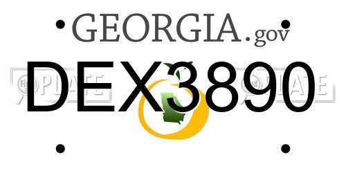 DEX3890 Georgia License Plate