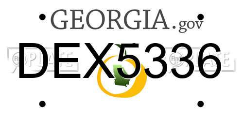 DEX5336 Georgia License Plate