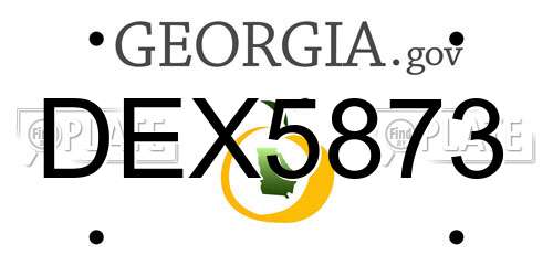 DEX5873 Georgia License Plate