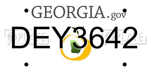DEY3642 Georgia License Plate