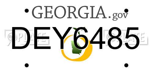 DEY6485 Georgia License Plate