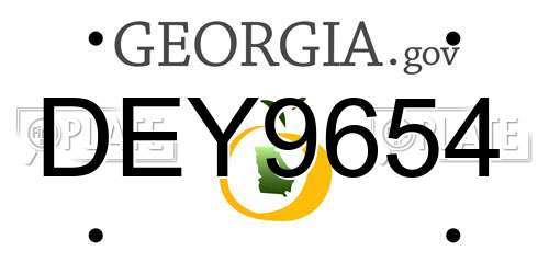 DEY9654 Georgia License Plate