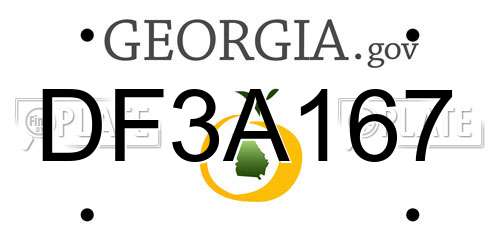 DF3A167 Georgia License Plate