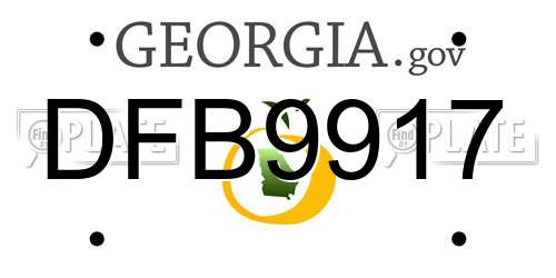 DFB9917 Georgia License Plate