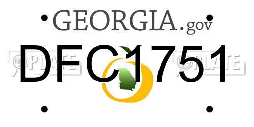 DFC1751 Georgia License Plate