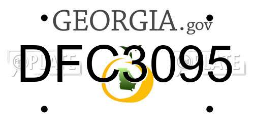 DFC3095 Georgia License Plate