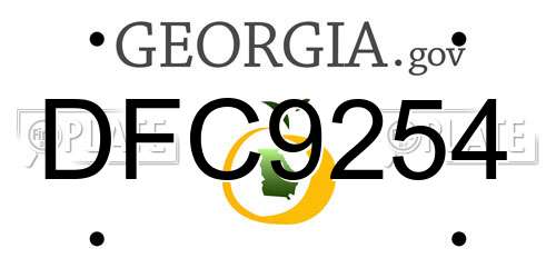 DFC9254 Georgia License Plate