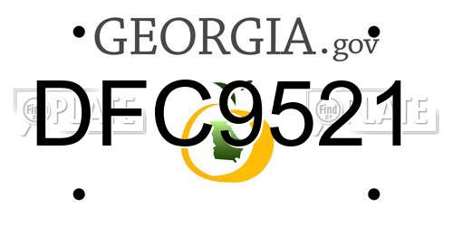 DFC9521 Georgia License Plate