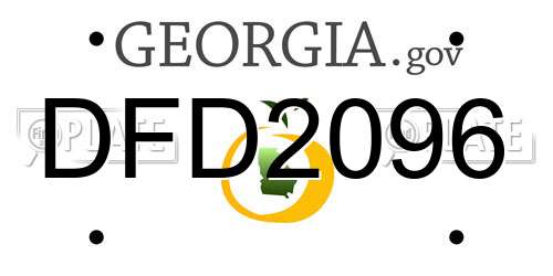 DFD2096 Georgia License Plate