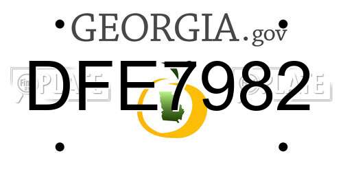 DFE7982 Georgia License Plate