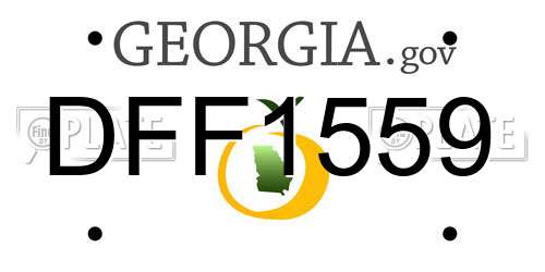 DFF1559 Georgia License Plate