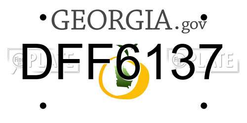 DFF6137 Georgia License Plate