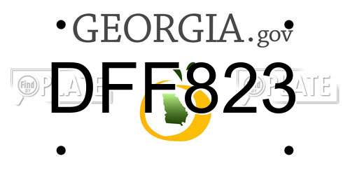 DFF823 Georgia License Plate
