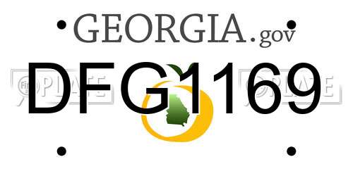 DFG1169 Georgia License Plate