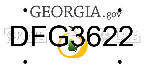 DFG3622 Georgia License Plate