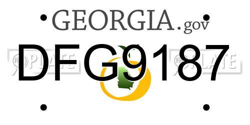 DFG9187 Georgia License Plate
