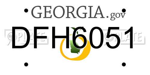 DFH6051 Georgia License Plate