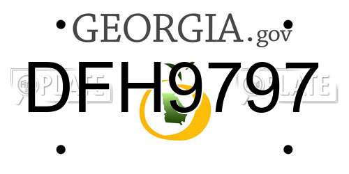 DFH9797 Georgia License Plate