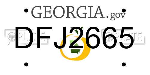 DFJ2665 Georgia License Plate
