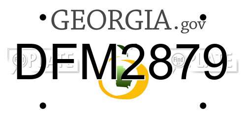 DFM2879 Georgia License Plate