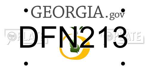 DFN213 Georgia License Plate