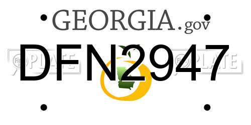 DFN2947 Georgia License Plate