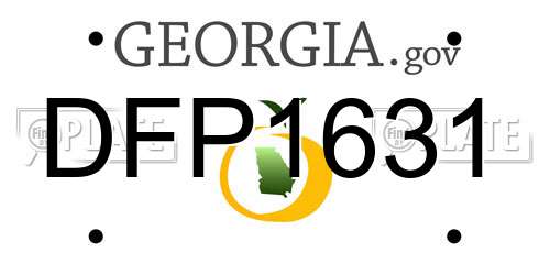 DFP1631 Georgia License Plate