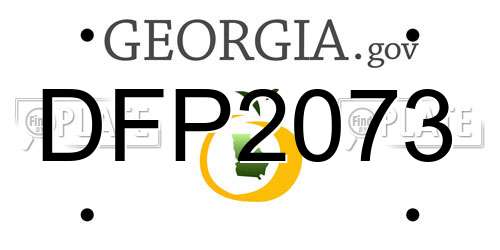 DFP2073 Georgia License Plate