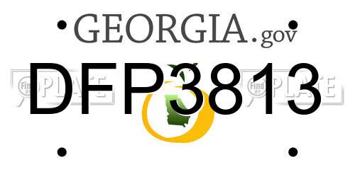 DFP3813 Georgia License Plate