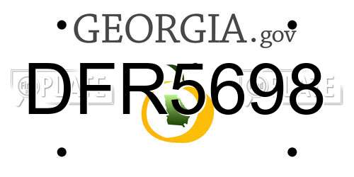 DFR5698 Georgia License Plate