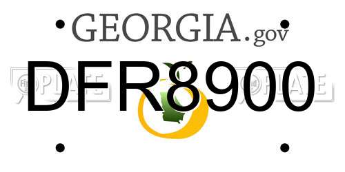 DFR8900 Georgia License Plate