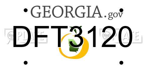 DFT3120 Georgia License Plate