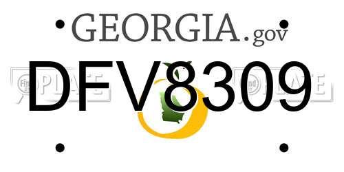 DFV8309 Georgia License Plate