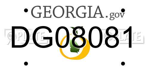 DG08081 Georgia License Plate